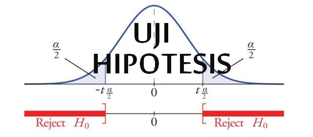 Pengujian Hipotesis: Pemahaman, Tujuan dan Cara
